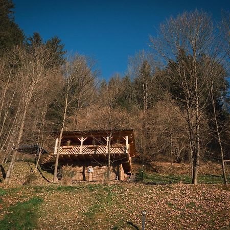 Hiska Na Samem V Slovenj Gradcu Slovinský Hradec Exteriér fotografie
